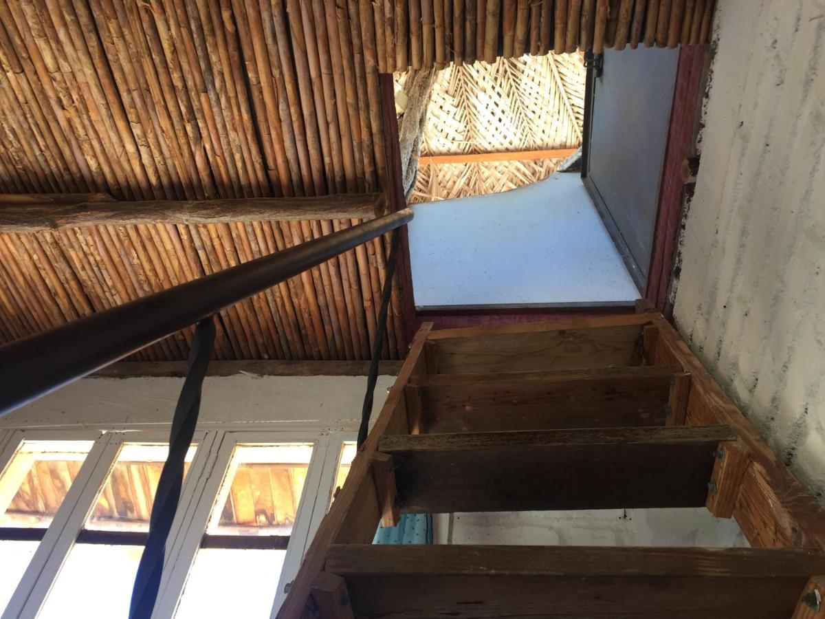 Casa Barca Hostel ตากังกา ภายนอก รูปภาพ